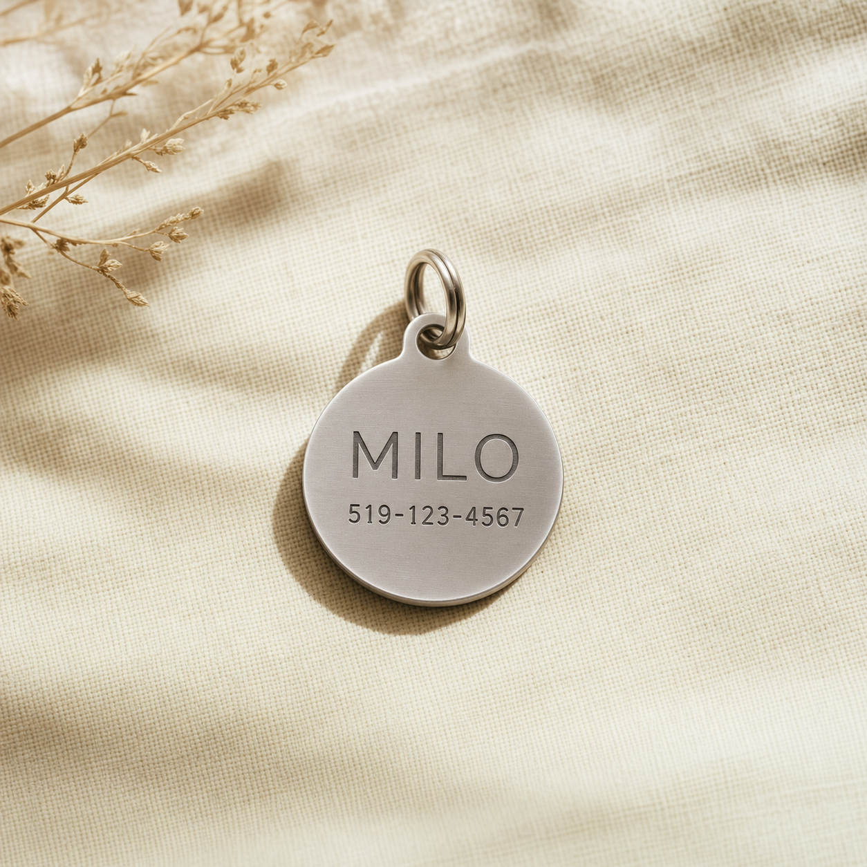 Round stainless steel dog tag — Silver