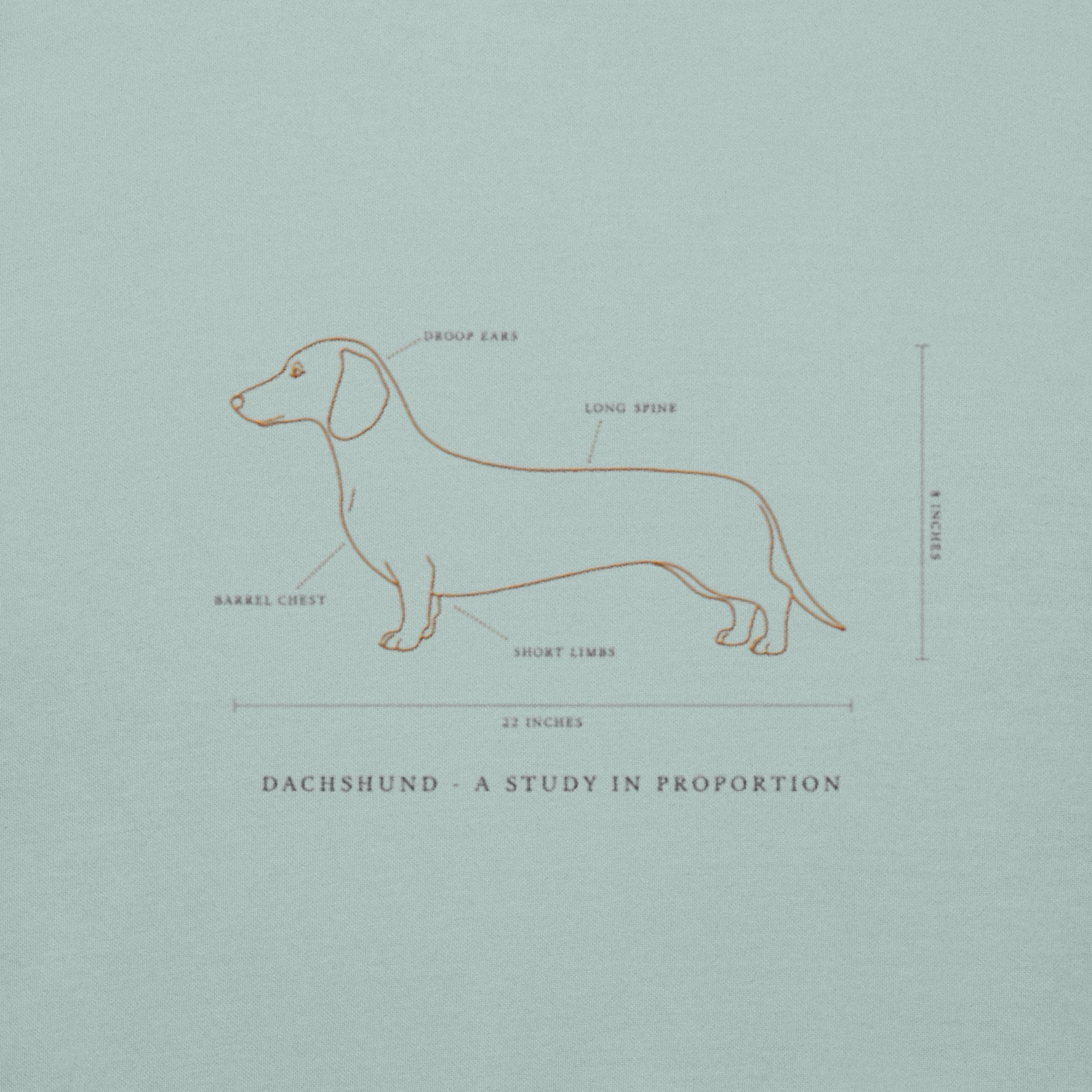 Lifestyle shot of the embroidered Dachshund crewneck, The Loyal Mark
