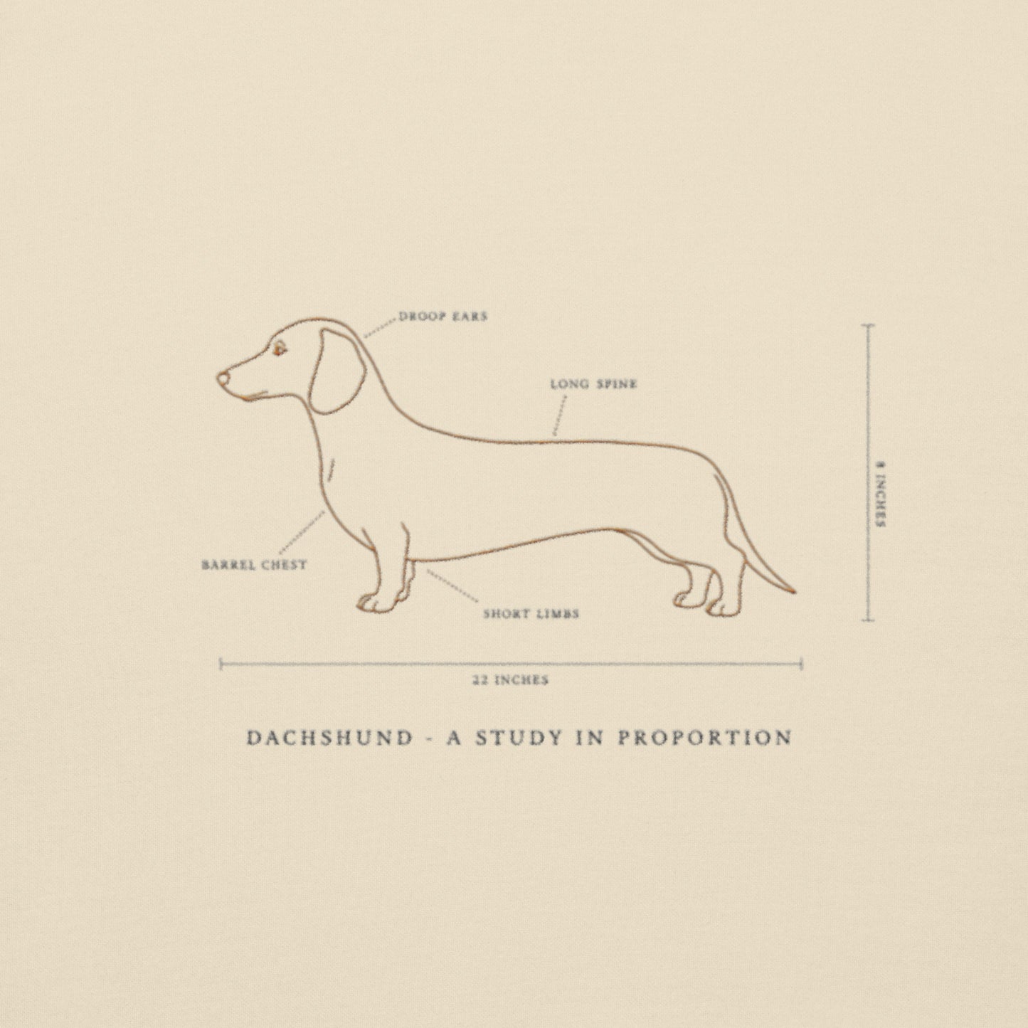 Lifestyle shot of the embroidered Dachshund crewneck, The Loyal Mark