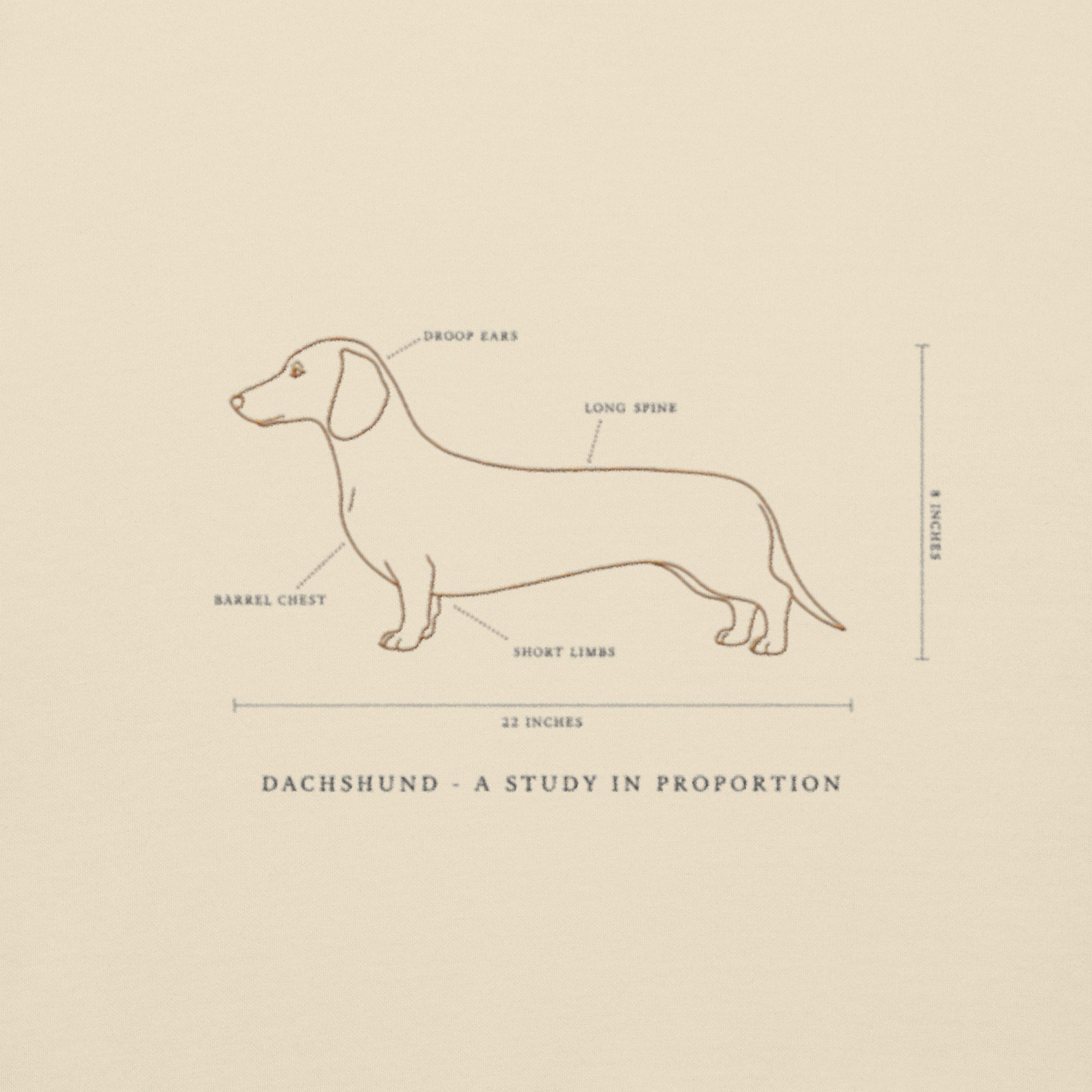 Lifestyle shot of the embroidered Dachshund crewneck, The Loyal Mark