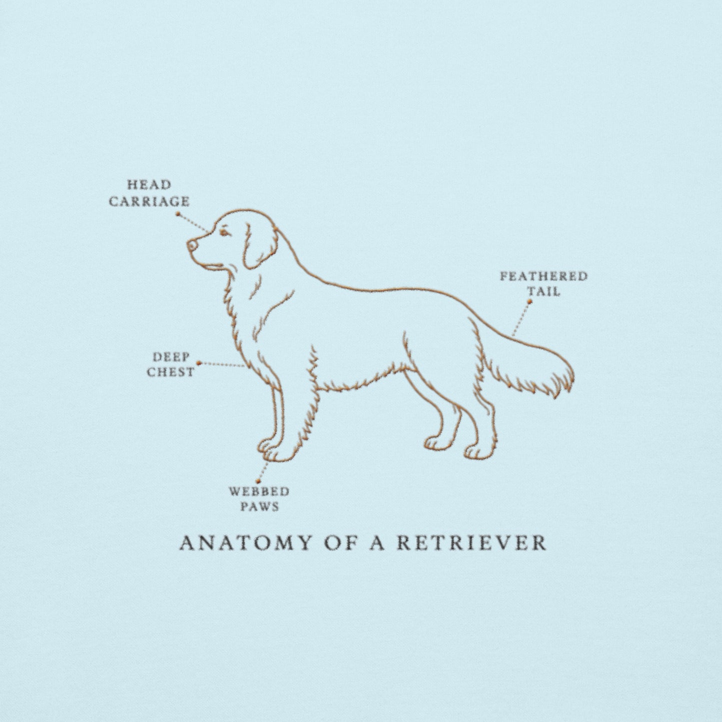 Back view of the embroidered Golden Retriever crewneck showing fit, The Loyal Mark