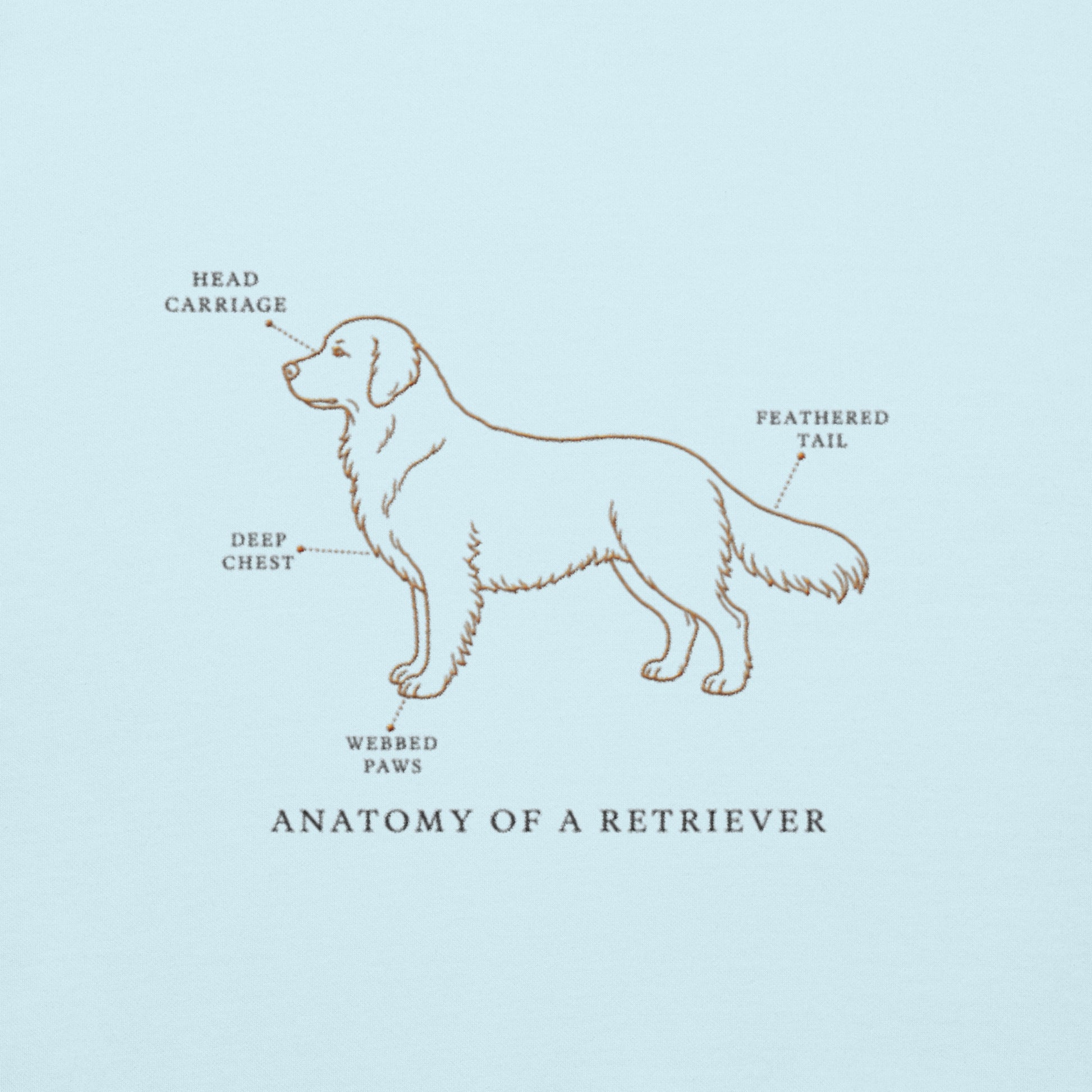 Back view of the embroidered Golden Retriever crewneck showing fit, The Loyal Mark