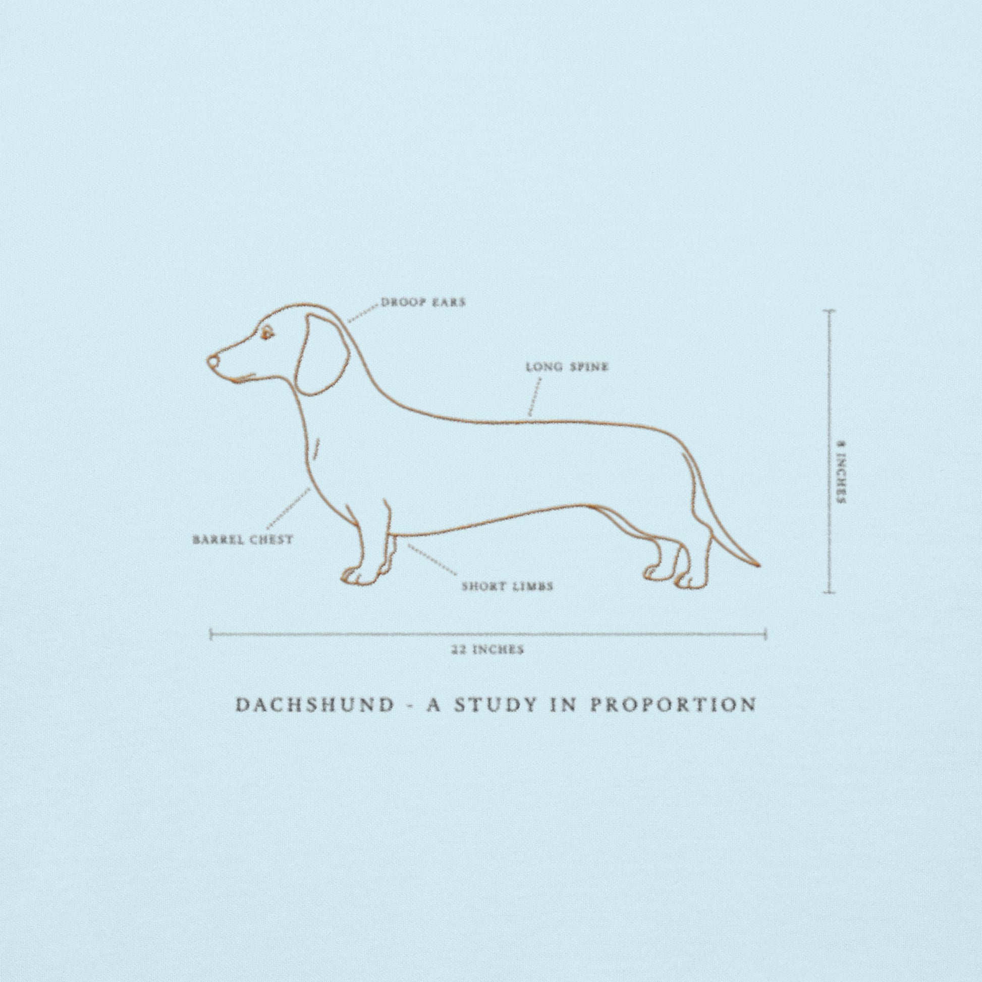 Lifestyle shot of the embroidered Dachshund crewneck, The Loyal Mark