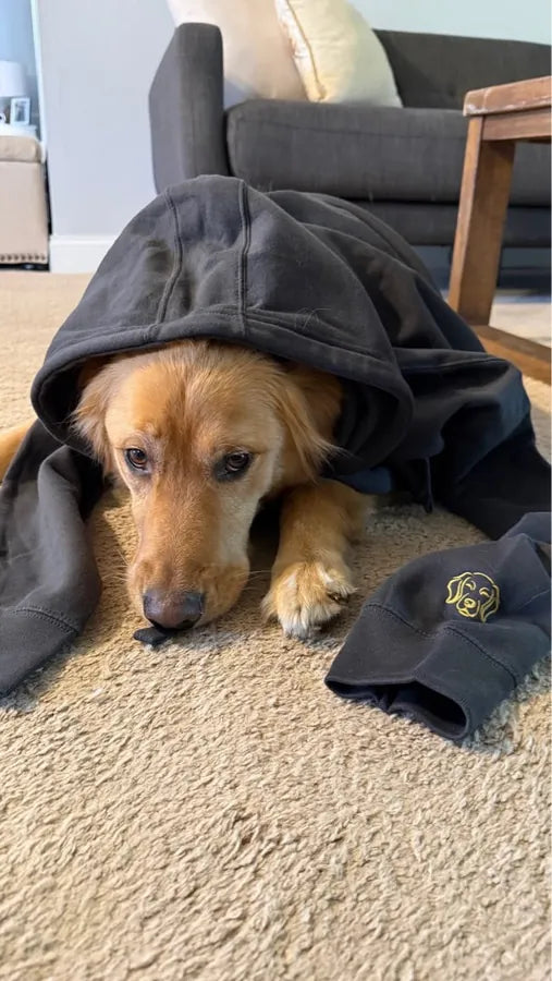 Golden in The Run Crewneck