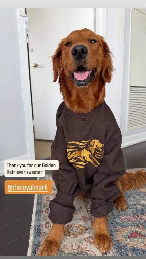 Golden with embroidered apparel